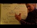 Understanding Enzymes