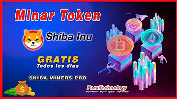 ¿Es real la minería Shiba?