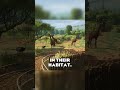 🦒 I used a REAL Care Guide to make a GIRAFFE Habitat! | #planetzoo #shorts