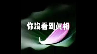201502 你没看到真相21352