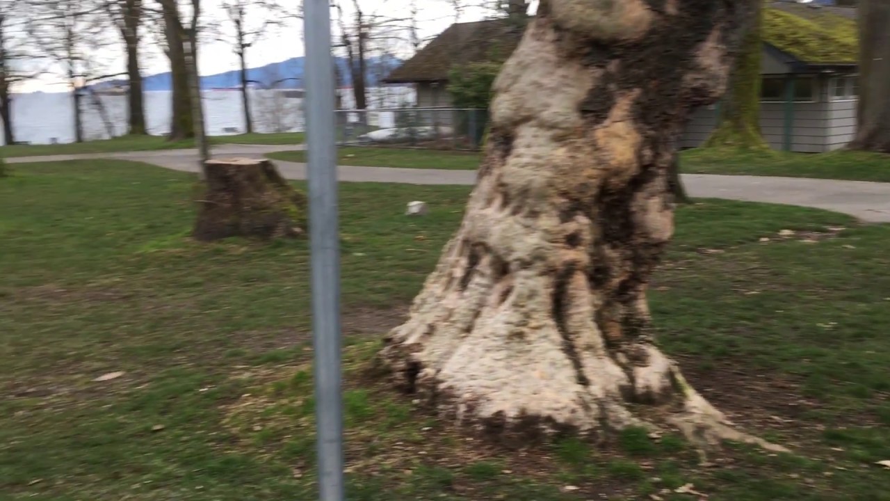 Proposed Kits Beach Bike Path March 7, 2018 YouTube