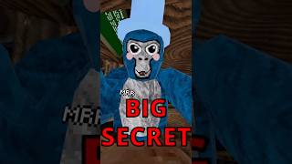 Gorilla Tags BIGGEST Secret! #shorts #gorillatag #gtag #vr #gaming #fyp #viral #subscribe #secret