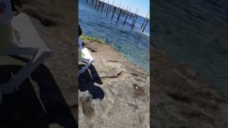 Alanya Deniz Bera Otel