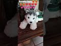 boneka baru❤🔥💖💖💝💕💕💞❤❤