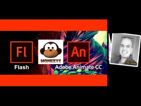 לימוד פלאש שיעור 1 חלק 1 - בסיס