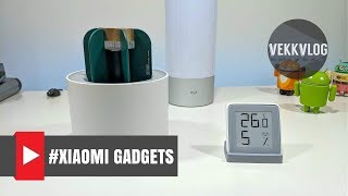 Xiaomi Sothing Cactus ed Igrometro - cattura zanzare - no repellenti - recensione ITA