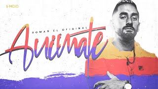 Roman El Original - Animate (Video Lyric)