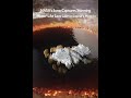 NASA’s Juno Captures Stunning Mirror-Like Lava Lake on Jupiter’s Moon Io