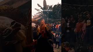 Storywa Barongan