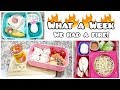 Bento Style School Lunches PLUS What She ATE! - Bella Boo's Lunches