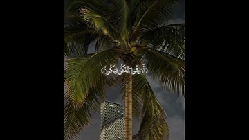 َ ارح سمعك تلاوة هادئة تنسيك هموم الدنيا كلها😴❤️حالات واتس اب دينية قصيرة#راحة نفسية