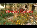 Sundarban tiger roar resort  natural flower  garden west bengal