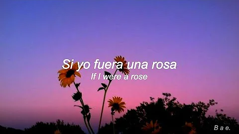 Sunflower // Sierra Burgess  (Lyrics // Letras en Español).