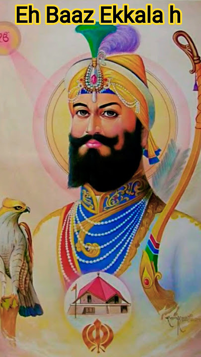 eh Baaz akella hai 🙏🏻🙏🏻🙏🏻🙏🏻#gurugovind#waheguru#satnam#gurubani#goldentemple#