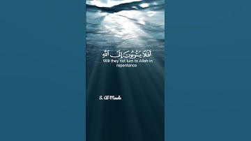 تلاوة من سورة المائدة🍀للقارئ شريف مصطفى #قران_كريم #استغفر_الله
