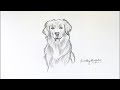 How to Draw DOG | Easy Dog Drawing | Pencil Drawing | Creative Drawing Ideas