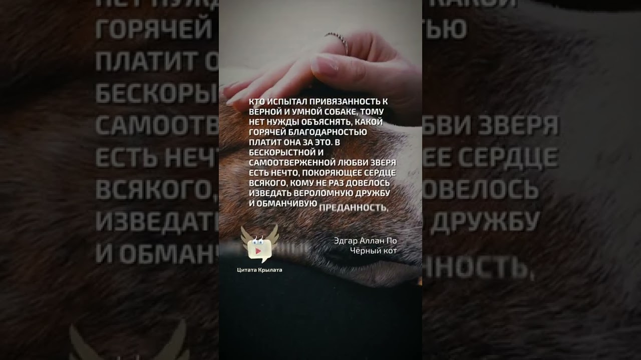 Собачья благодарность - Эдгар Аллан По - цитата