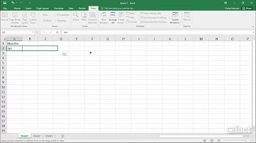 Recording a Macro - Excel 2016 Recording Macro