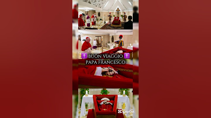Buon Viaggio ✝️ Papa Francesco #papafrancesco #papa #papafrancisco