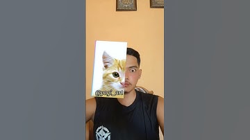 Try what animals is your Twin 😈☠️ #tutorial #filter #shorts