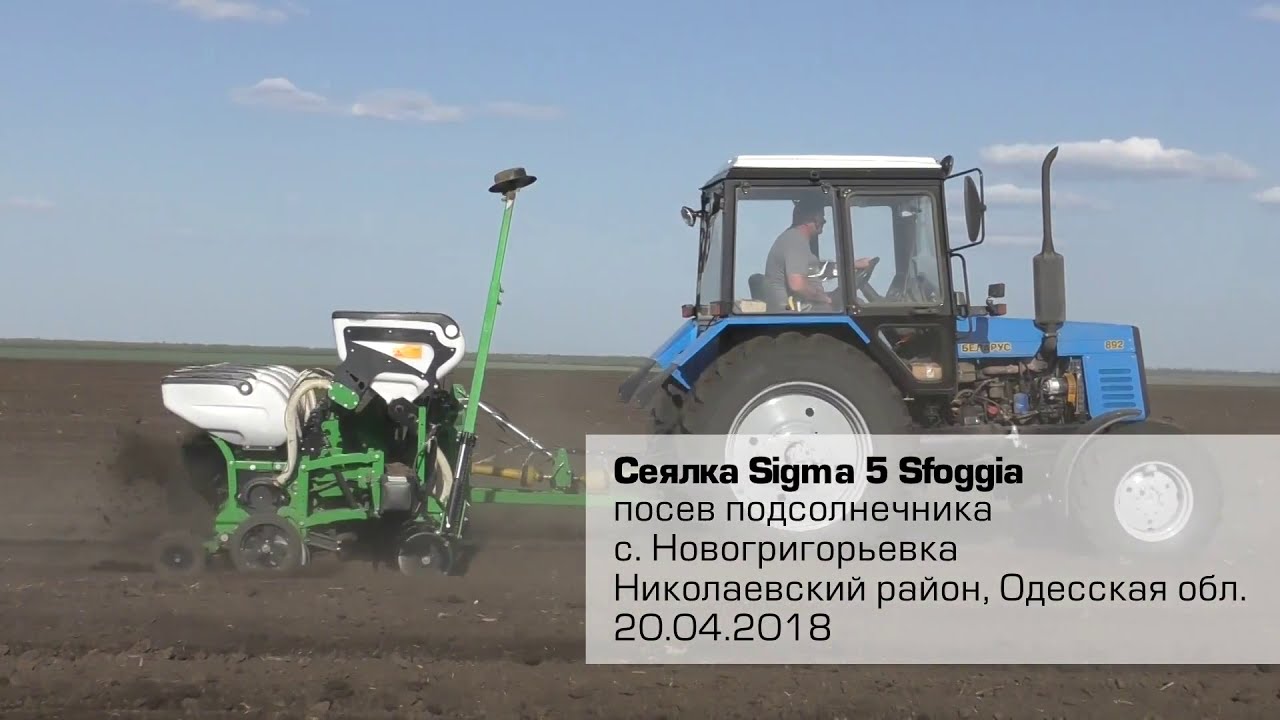 Сеялка SIGMA 5 SFOGGIA_в работе