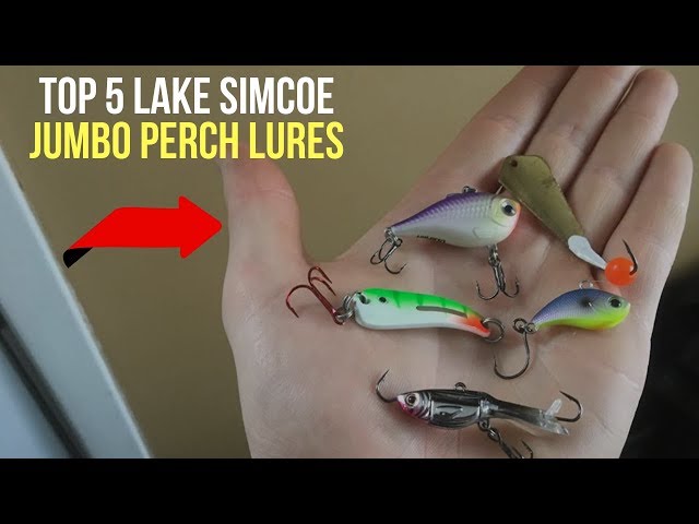 The Best Lures For Lake Simcoe Jumbo Perch (Ice Fishing) 