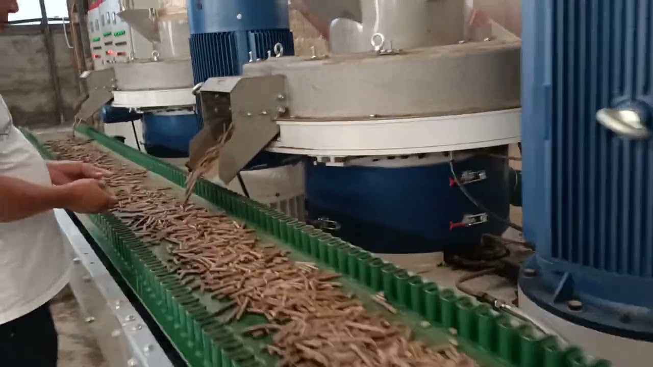 Yulong BAMBOO pallet full production line 5 tonnes per hour 25,000 tonnes per year for bamboo pellet