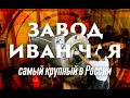 Самый крупный в России завод Иван-Чая. Свердловская область