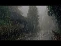 Lluvia Relajante Para Dormir - Sonido de Lluvia en Bosque Brumoso - Rain Sounds For Sleeping 461