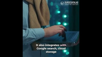 Surge Datalab - About LangChain