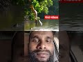 Fish with Fruit 🤣❤️ viral 🤣😅 shorts 😅🤣 video 🤣😅