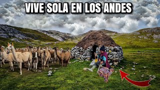Esta MUJER VIVE SÓLA en los  ANDES del Perú