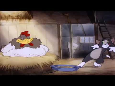 Tom and Jerry   Fine Feathered Friend, Episode 8 Part 1