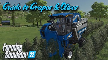 Guide to Grapes & Olives - FS22 - PS4 - Console - Farming Simulator 22