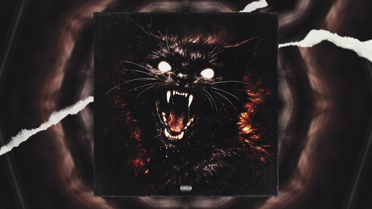 Alir3za - IRANI (Official Audio)