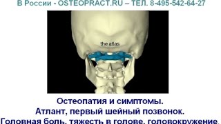 Остеопатия‭. Симптомы‭ поражения атланта (первый шейный позвонок) - головная боль и головокружение