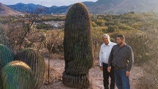 Parque de cactáceas en Tierra Blanca, Guanajuato