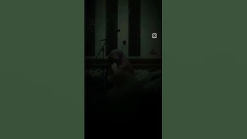 سورة الفاتحة بتلاوة هادئة و خاشعة ومؤثرة 🤍 #المصحف #الرحمن #اكسبلور #لايك