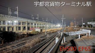 宇都宮貨物ターミナル駅 かもつれっしゃ 貨物列車 EF65 EH500 入線、通過、出発シーン