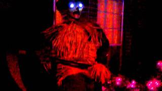 Texas Haunted Yard