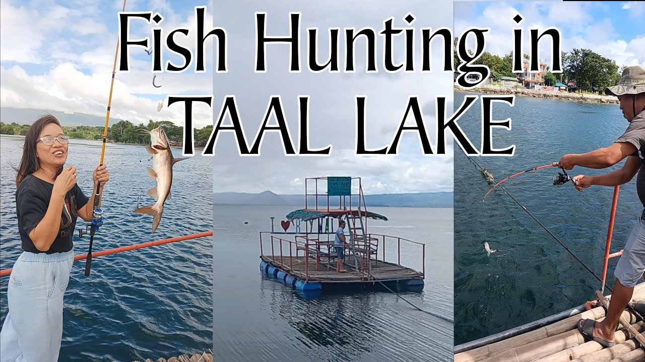 Fish Hunting in Taal Lake | Bañadero Baywalk
