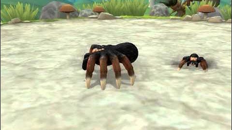 Spore Creature Creator Video
