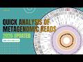 Taxonomic Classification of Metagenomic Reads Using BV-BRC Tools