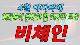 [비체인]코인 세력들 움직임에 숟가락만 얹자 #비체인코인,#비체인코인전망