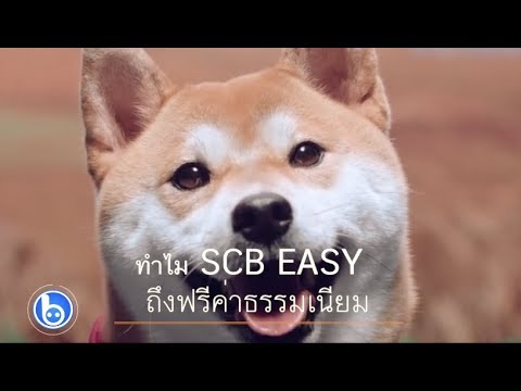 ค่าธรรมเนียม ไทย พาณิชย์  Update New  SCB Easy ยกเลิกแล้วทุกค่าธรรมเนียม