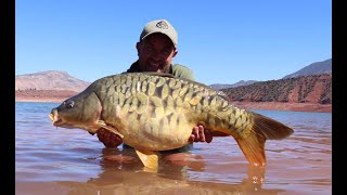 Morocco Carp 2020  Bin El Ouidane