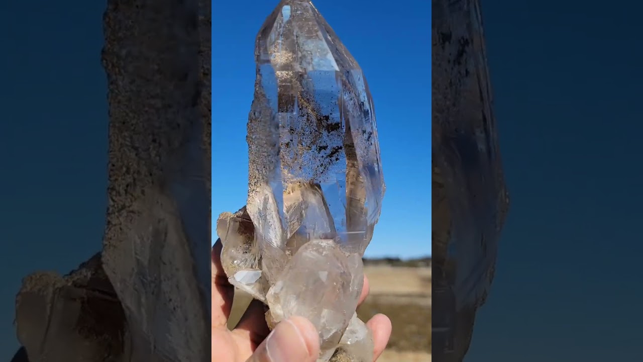 Trigonic Tessin Habit Smoky＜トライゴーニック、テッシンハビット