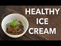 Mint Chocolate Chip Ice Cream - (The Plant Paradox Recipe)