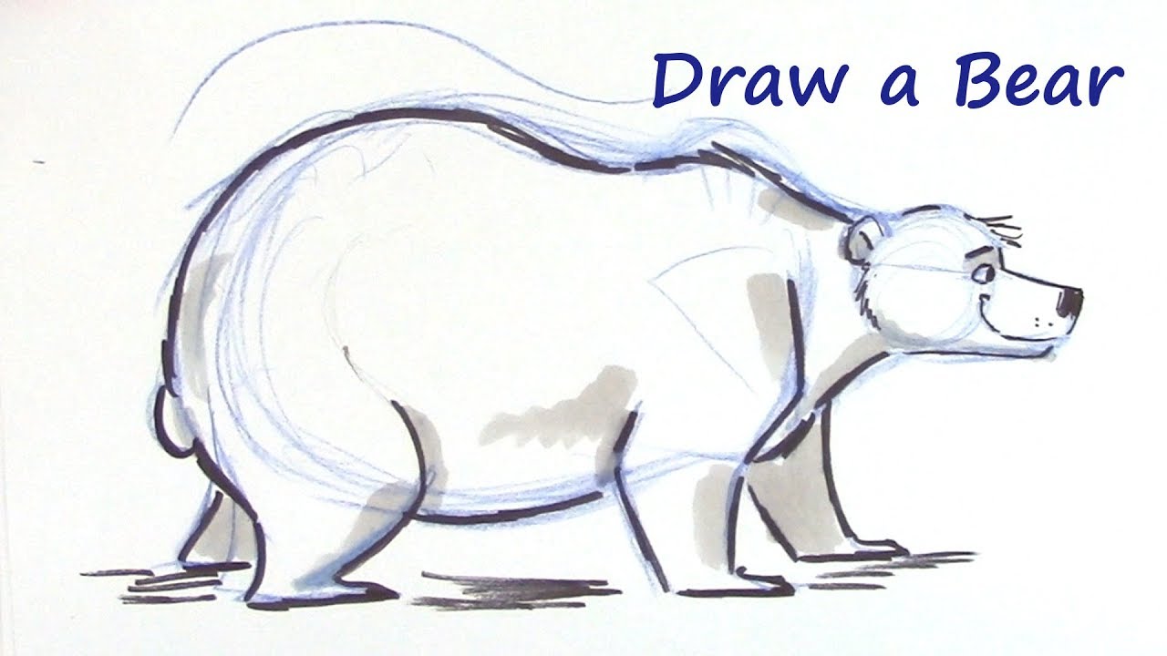 How to Draw a Cartoon Bear - You Can Do It! - YouTube