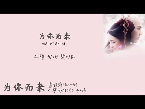[한글자막/발음] 为你而来(위니이래)_袁娅维(원아유) 梦回(몽회) 主题曲(주제곡) Audio